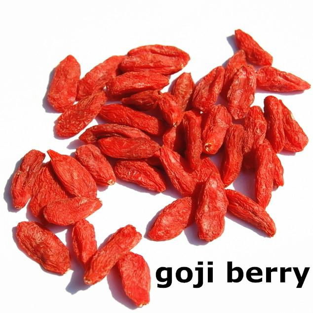 2015 new goji berries  4