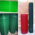 Hot sale! Best Price PVC Coated Welded Wire Mesh/ Factory Direct Sale 2