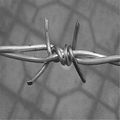 Sale! Hot Galvanised / Electric Double Twist Barbed Wire Fencing Real Factory 1