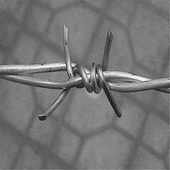 Sale! Hot Galvanised / Electric Double Twist Barbed Wire Fencing Real Factory