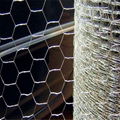 Widely  Application Chicken Wire/ Galvanised Hexagonal Wire Netting  3