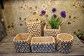 Retro imitation cork cement flowerpot 2