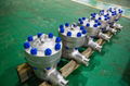 Clamp 2500# CF8M Check valve