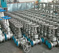 WCB Gate valve