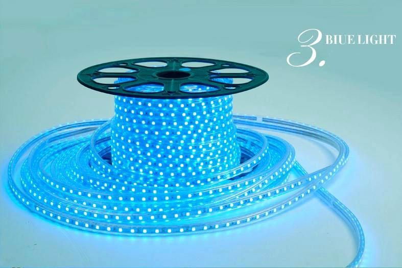 Blue 5730 SMD Flexible Led Strips 12V 300 LEDs Flexible Led Strip Lighting 3