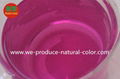 natural colorant---cabbage red color 1