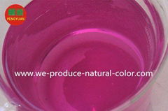 natural colorant---cabbage red color