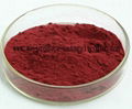 natural colorant---radish red color 1