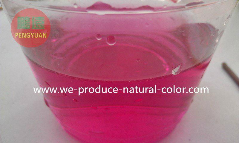 natural colorant--cabbage red color 2