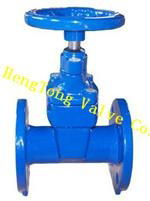 DIN 3352 Gate Valve F5