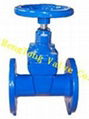 DIN 3352 Gate Valve F5