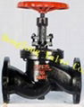 Globe Valve