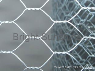 Gal. Hexagonal Wire Mesh 2