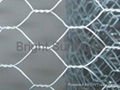 Gal. Hexagonal Wire Mesh 2