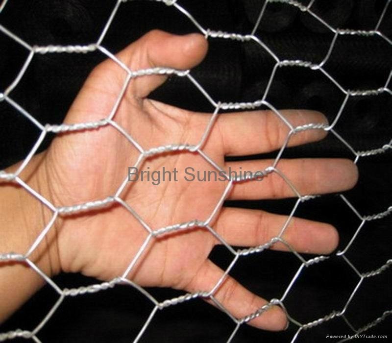 Gal. Hexagonal Wire Mesh 3