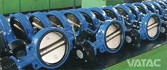cast iron butterfly valves Marine Cast