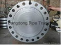 Blind  Flange 1