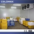 CE certification cold storage room 5