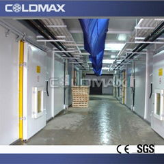best selling vegetables and fruits cold room