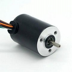 28mm Brushless DC Series