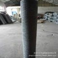 Hexagonal Wire Netting