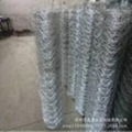 Hexagonal Wire Netting 1