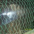 Hexagonal Wire Netting