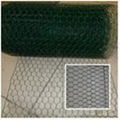 Hexagonal Wire Netting