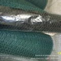 Hexagonal Wire Netting