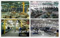 Triangle Shape Customized Different Capacity heavy lifting equipment 4