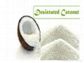 Desiccated Coconut 1