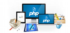 Web Development|USA:Website Designing|Company|Software Development