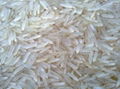 Rice 3