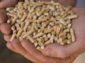 Wood pellets 4