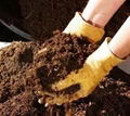 Organic Fertilizer