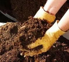 Organic Fertilizer