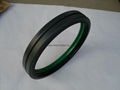 Oil Seal 1