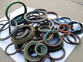 Oil Seal 3