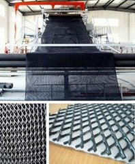 2D/3D Plastic drainage geonet production line machine