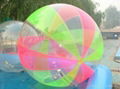 water walking ball 3