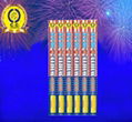 Beautiful Dream Fireworks(Roman Candles) 4