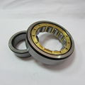 Cylindrical Roller Bearing