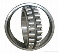 Spherical Roller Bearing 1