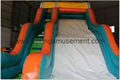 Gaint inflatable water slide