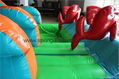 Gaint inflatable water slide 5