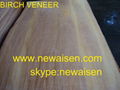 Birch Veneer  1