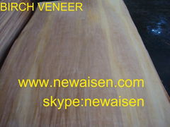 Birch Veneer 