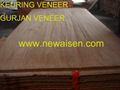 keuring veneer  2