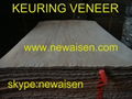 keuring veneer  1