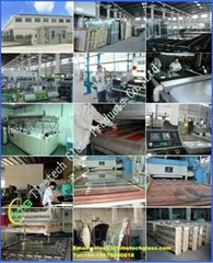 Dongguan Timetech Glass Co.,Ltd